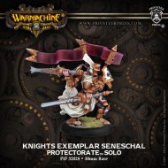 knights exemplar seneschal protectorate solo